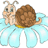 schneckche69
