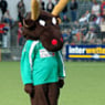 vfb1919kimba