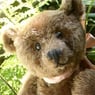 oldteddy32
