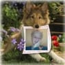 tonnie42