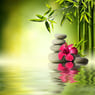 yellowknirps