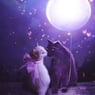 KittyClark