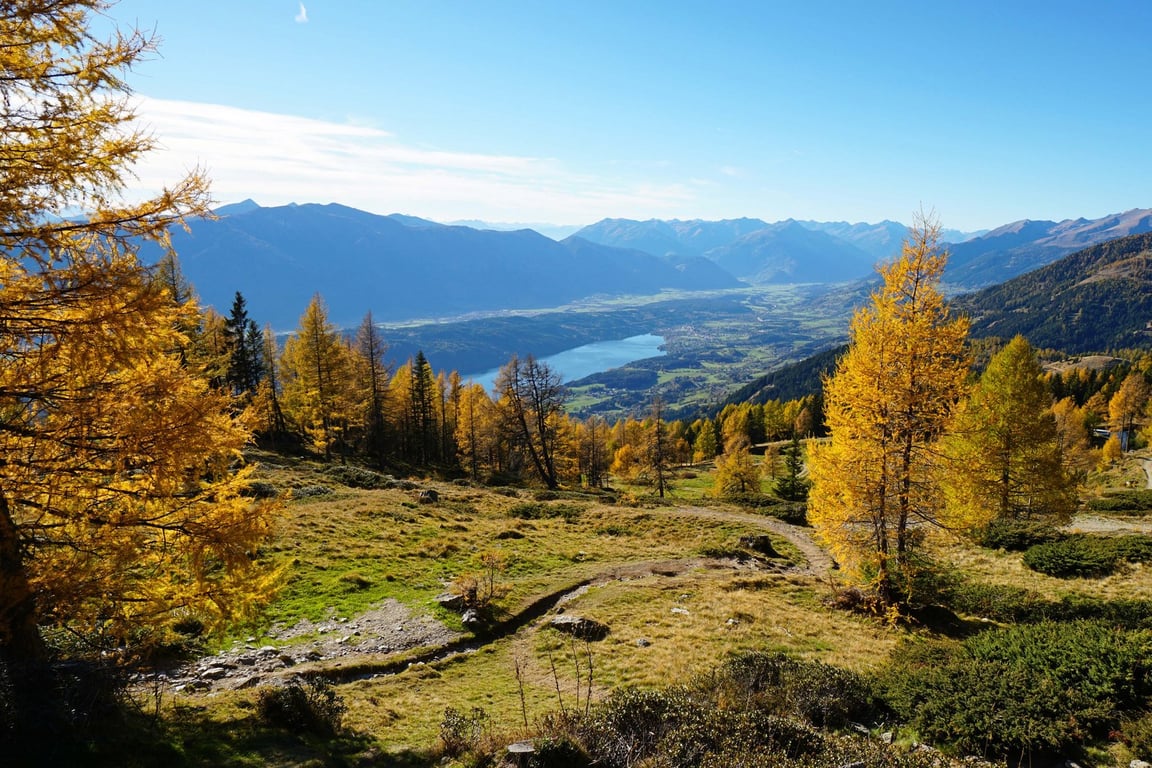 Herbst