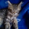 jette001