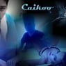 Caikoo