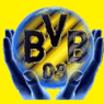 OnlyBVB