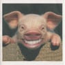 Bigsmile