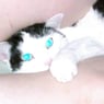 Claudi0703