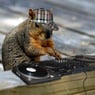djstefan