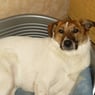 Phoebe1609