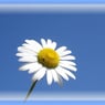 belaba2200