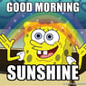 Sunshine2016