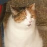 monileinchen