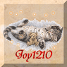Joy1210