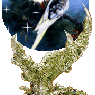 XHerzchenX