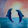 delphin693