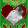 Herthaner2