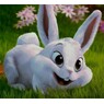 hasi5768