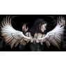 gothic530