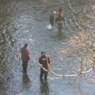 dan1963