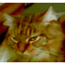 tabsi007