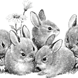 image of elleboechele