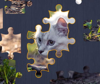 Jigsaw Puzzle 2 screenshot