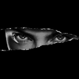 image of thunderbolt