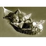 luckycat79