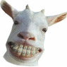 Leefke