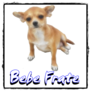 bebejstfratee