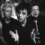 GreenDay81