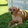SarahConnor