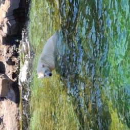 image of petermattern86