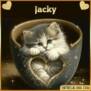 spatzjacky