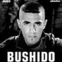 BUSHIDO555