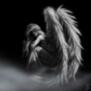 Angelwings75