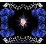 Schneerose3