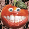 medy