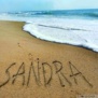 sandra0881