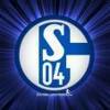 Schalke2008