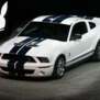 ShelbyGT
