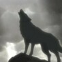 WolfsRain88