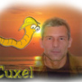 Cuxel