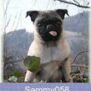 Sammy058