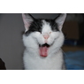 Mien