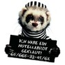 FrecherDachs