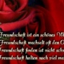 fuchur28