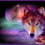 WolvesLove