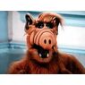 alf0907